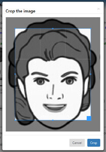 Image showing activated cropping panel